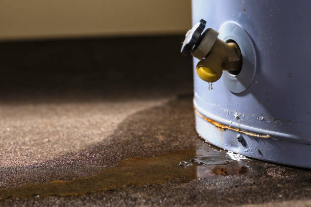 Best Emergency water damage restoration  in Williamsburg, KY