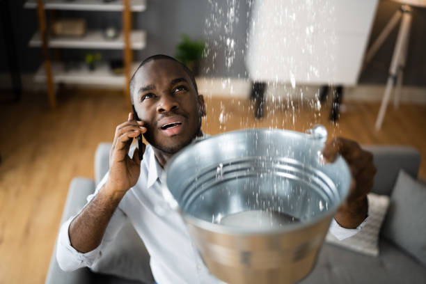 Best Water damage restoration near me  in Williamsburg, KY