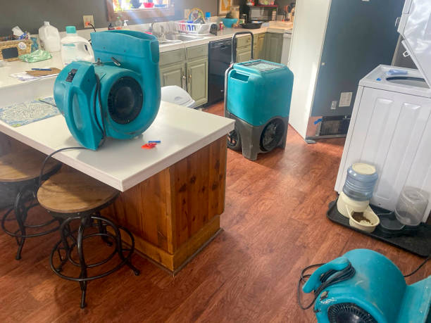 Best Sewage cleanup and water damage restoration  in Williamsburg, KY