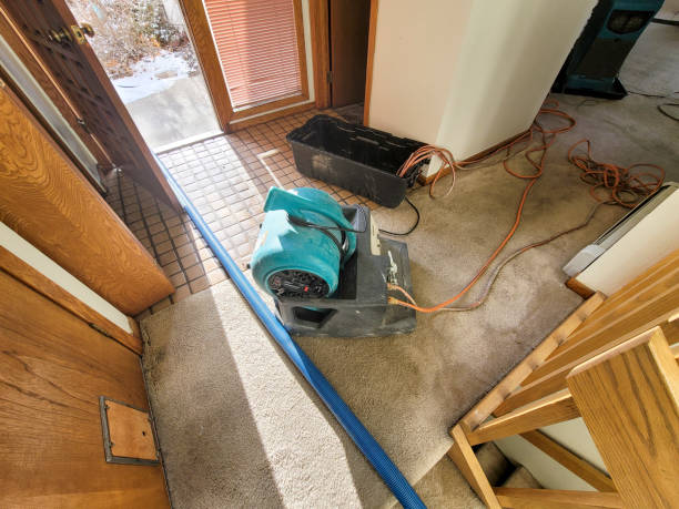Best Residential water damage restoration  in Williamsburg, KY