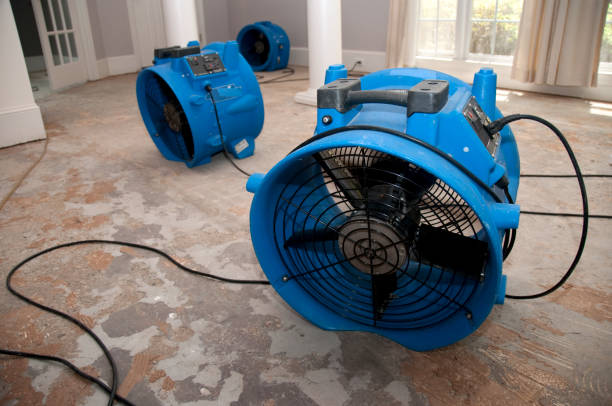  Williamsburg, KY Water damage restoration Pros