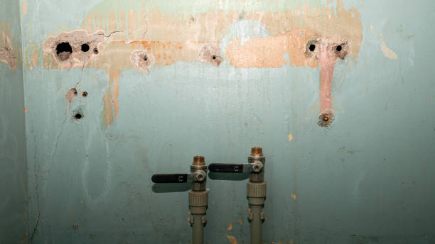 Best Local water damage restoration  in Williamsburg, KY
